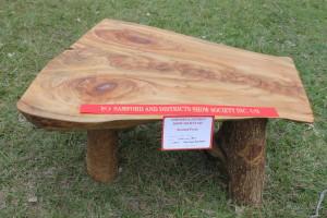 Camphor coffee table